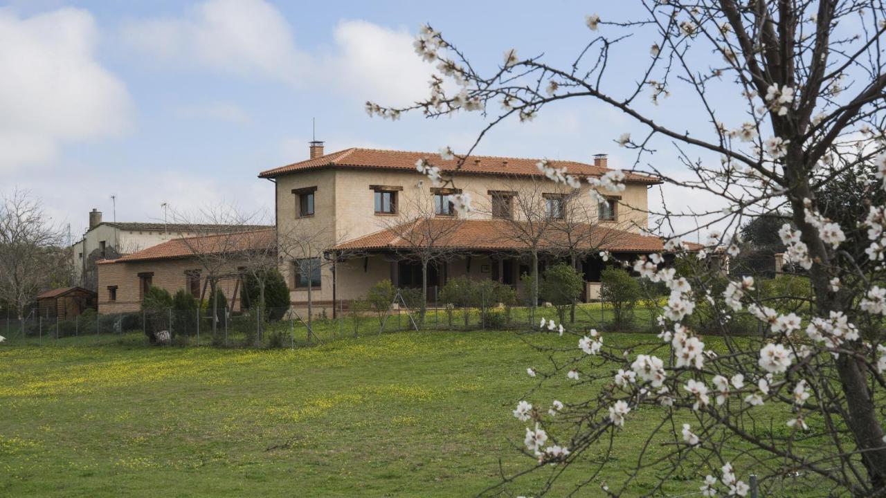 Casa Rural Pilon Del Fraile Oropesa Exteriér fotografie